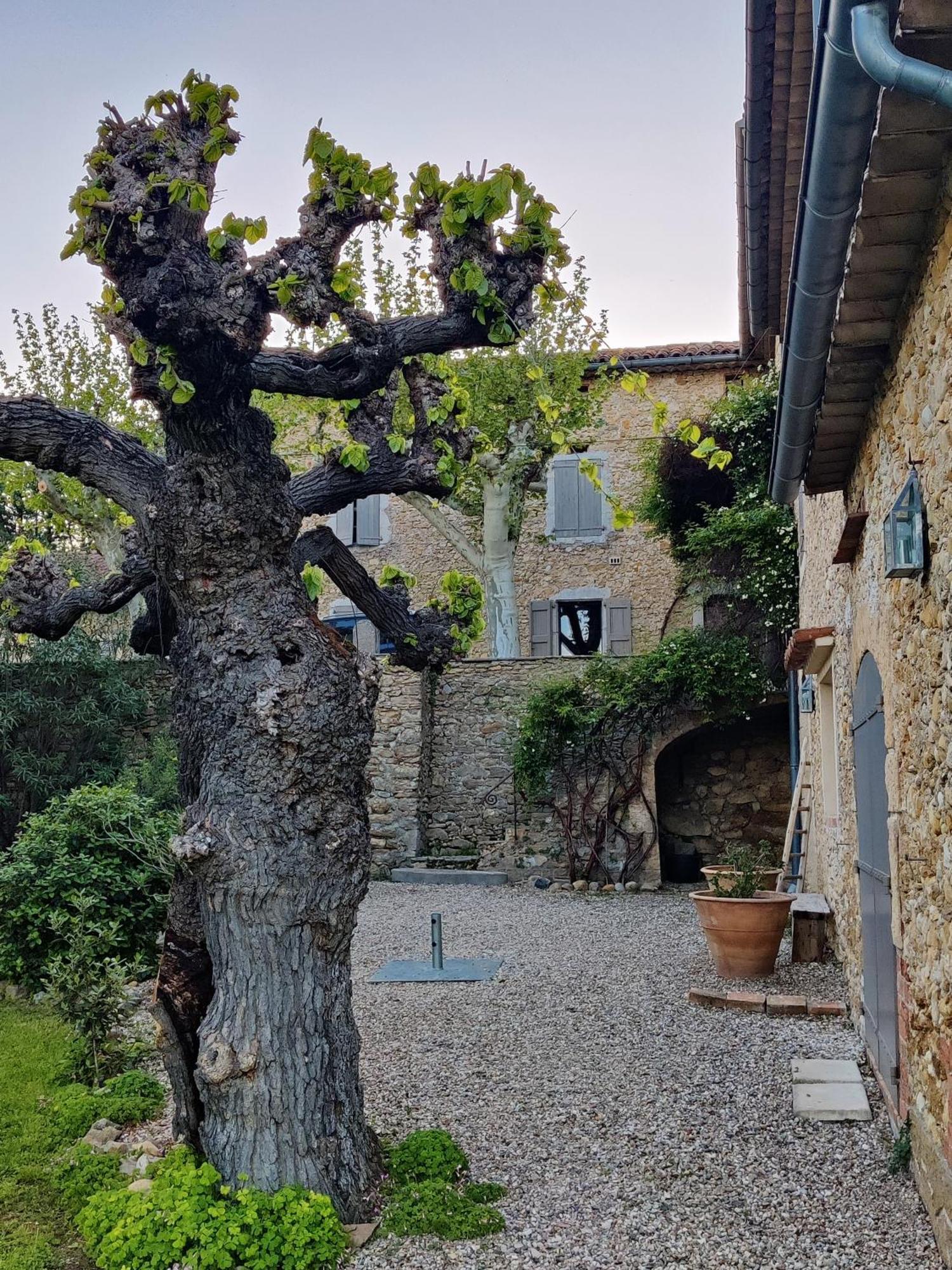 L'Etoffe, Charmante Chambre Dans Un Mas Cevenol Boisset-et-Gaujac Exterior photo